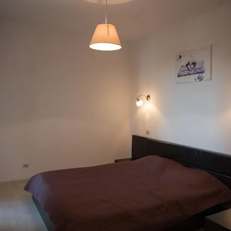 Apartment Andreea's